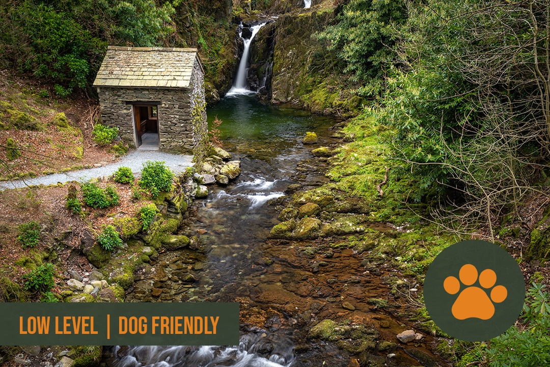 Rydal Guided Walk Guided Outdoors dog friendly walk